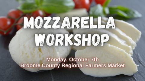 Fresh Mozzarella Workshop - October 2024