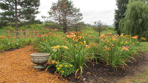 2024 Friends of Cutler Botanic Garden